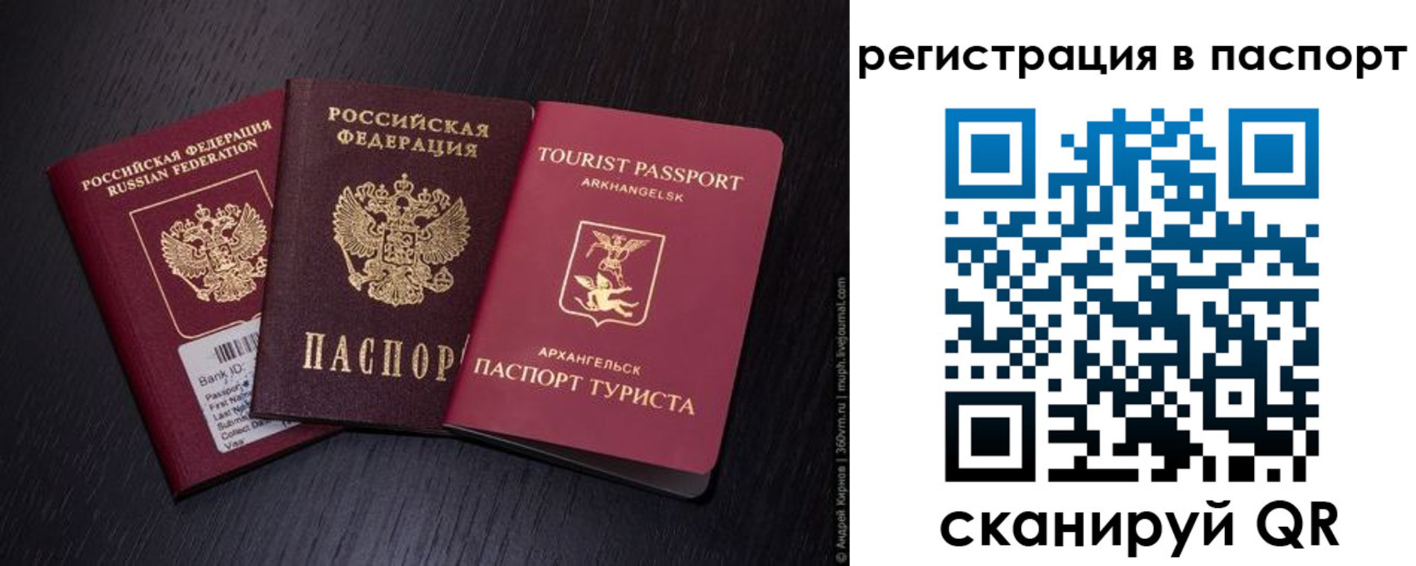 прописка в квартире в Снежногорске